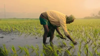 PM Kisan Yojana