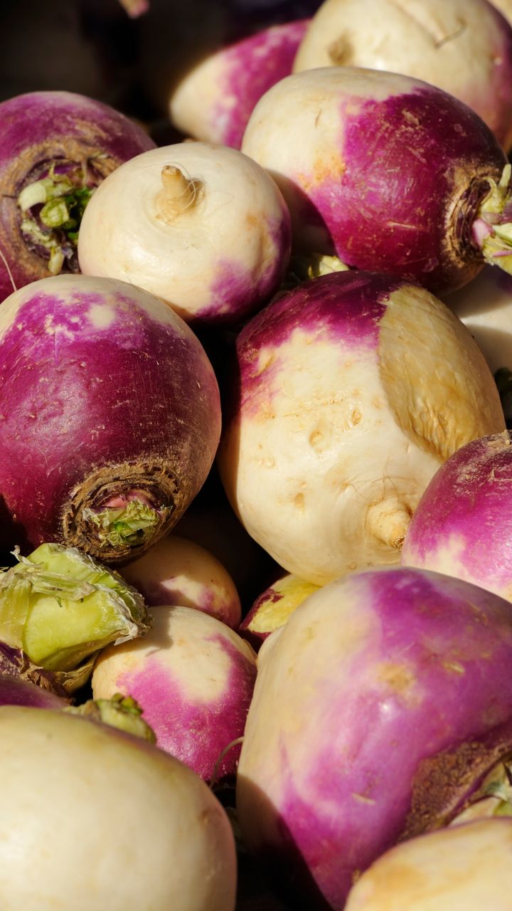 शलजम खाने से मिलतें हैं ये गजब फायदे