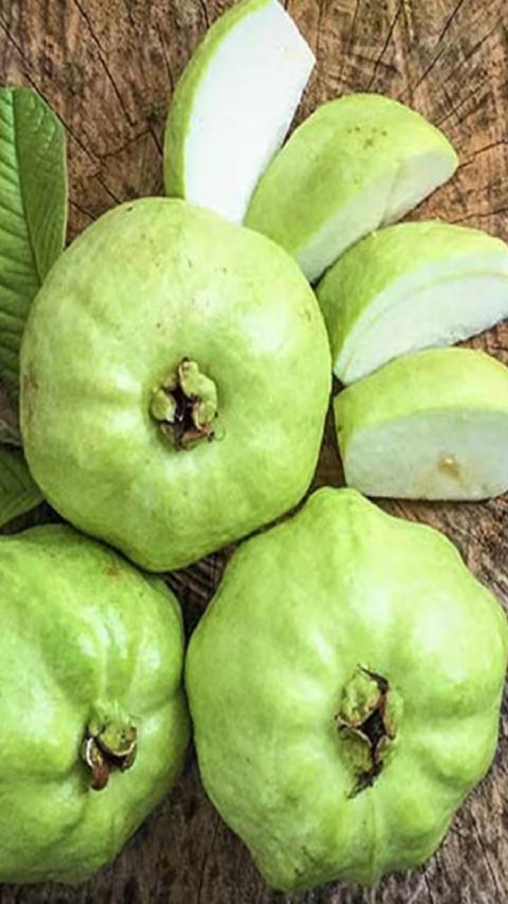 रोज खाओ अमरूद, पाओ ये जबरदस्त हेल्थ बेनिफिट्स