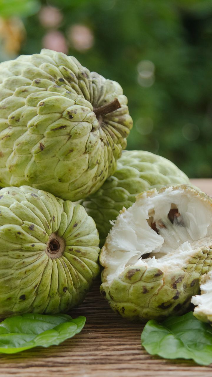 ये लोग भूलकर भी न खाएं शरीफा!