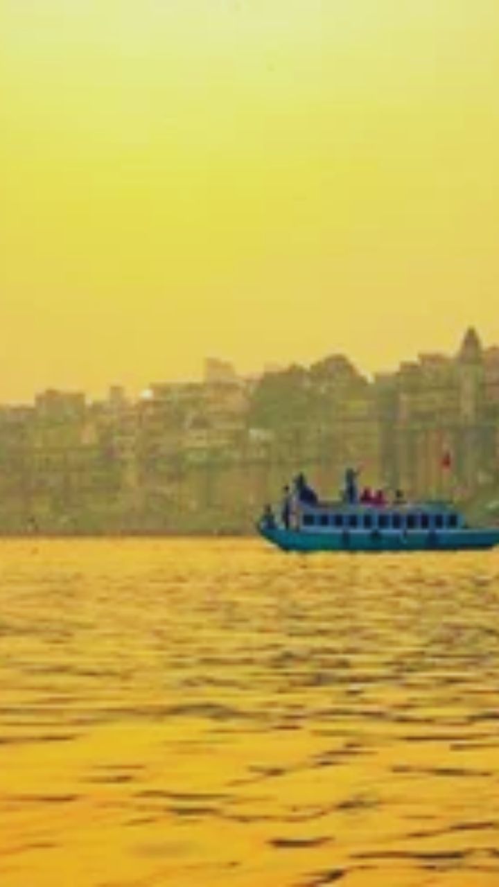 माघ माह में इस सब्जी का सेवन नहीं करना चाहिए